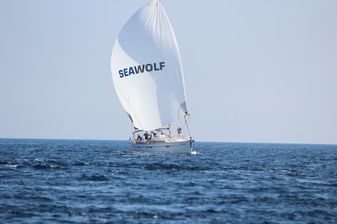 AMS Cup Seawolf